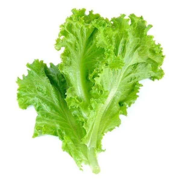 Салат пучок