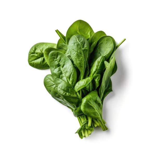 Шпинат пучок