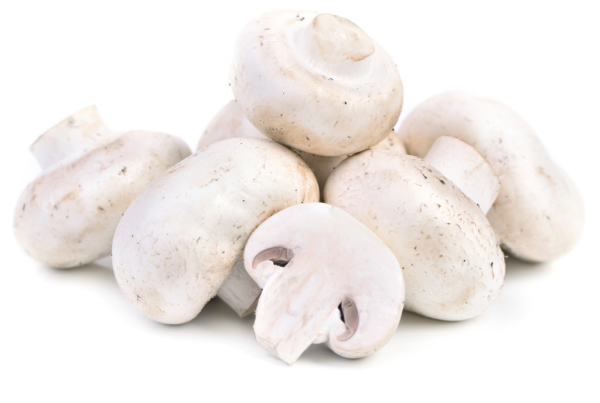 ru_pim_401567003001_01